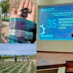 Elabora estudiante de la UAT bioherbicida para cultivos de frijol